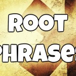 Root Solo Phrases