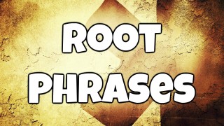 Root Solo Phrases